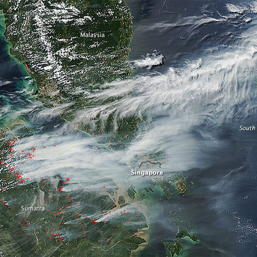 바람을 통해 퍼지는 연무